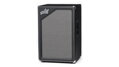 Aguilar SL 212-4