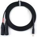 Mogami INTERCONNECT MINI JACK - 2 x XLRM 2m