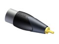 ProCab CLP135 - XLR M - RCA