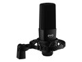 Audient EVO Start Recording Bundle