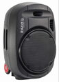 Ibiza Sound PORT15UHF-MKII