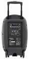 Ibiza Sound PORT15UHF-MKII