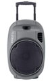 Ibiza Sound PORT12VHF-GR-MKII