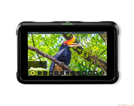 ATOMOS Shinobi HDMI