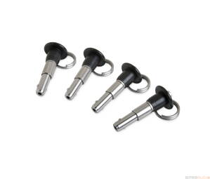 Bose RMPINS